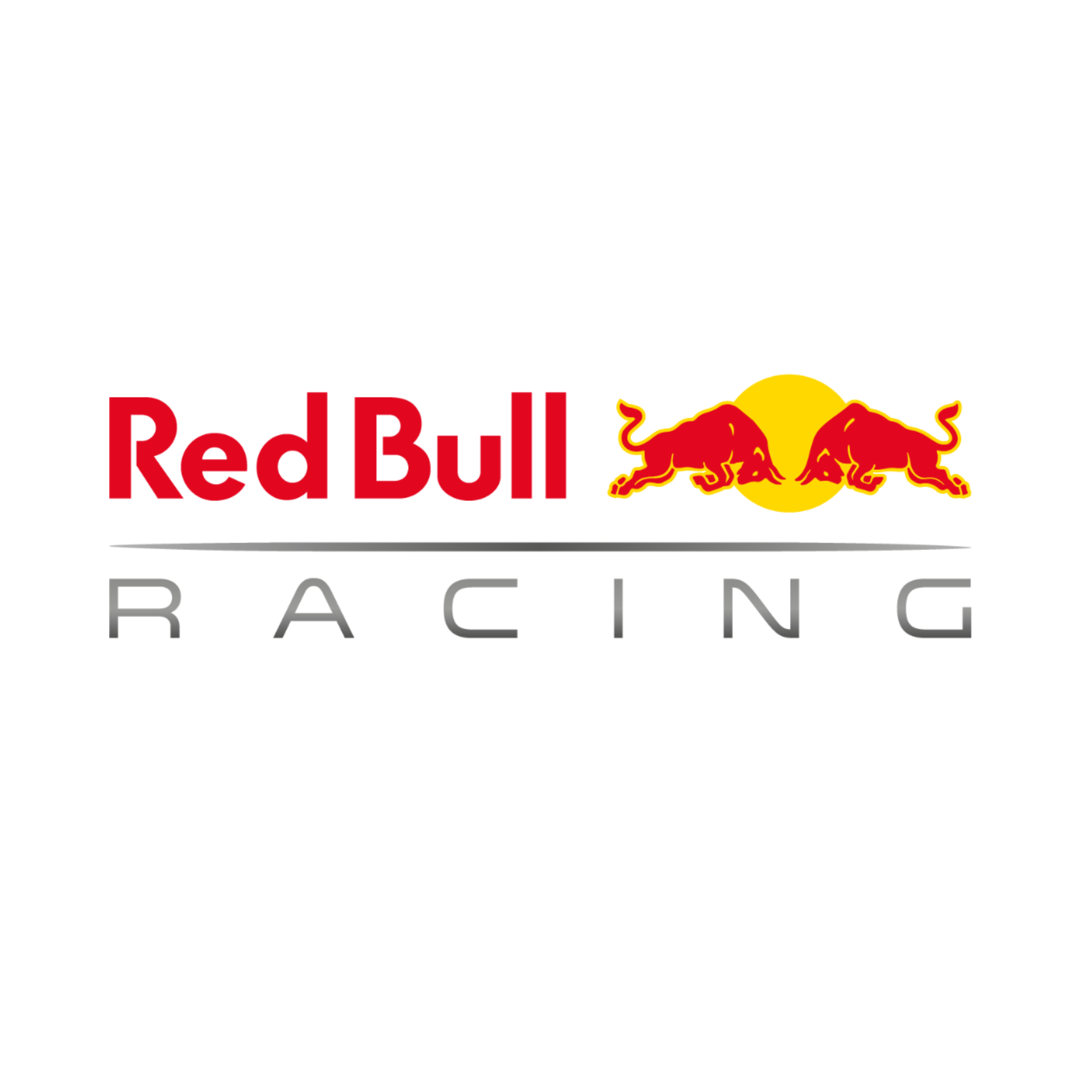 Red Bull Racing Team