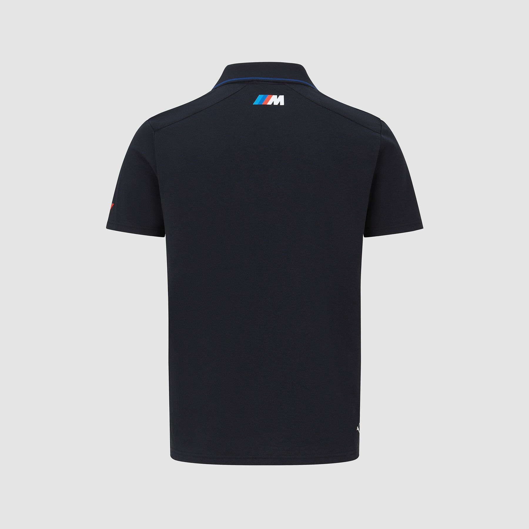 BMW Motorsport Team Polo