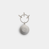 BMW BMW Keyring