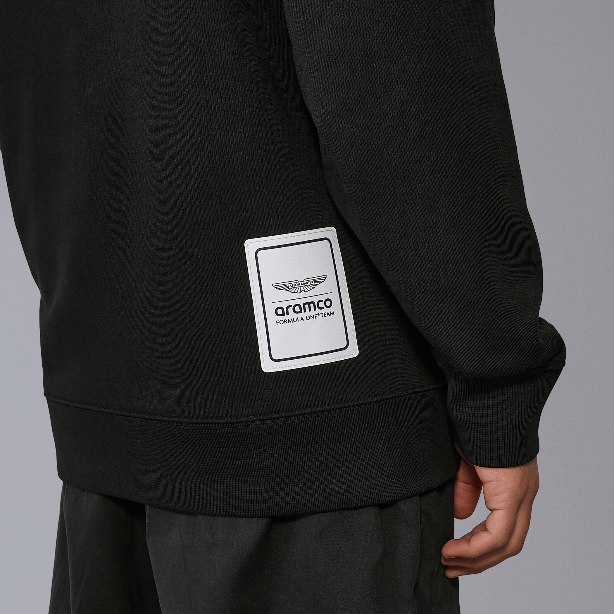 Aston Martin F1 Team Logo Hoodie