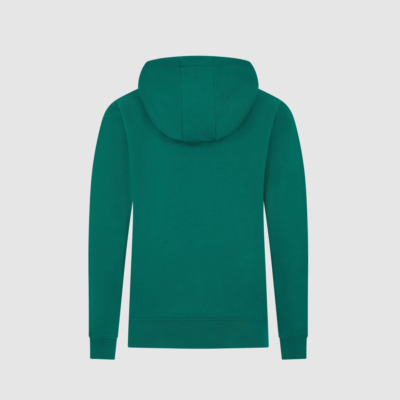 Aston Martin F1 Team Kids Logo Hoodie