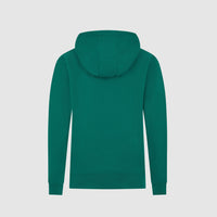 Aston Martin F1 Team Kids Logo Hoodie