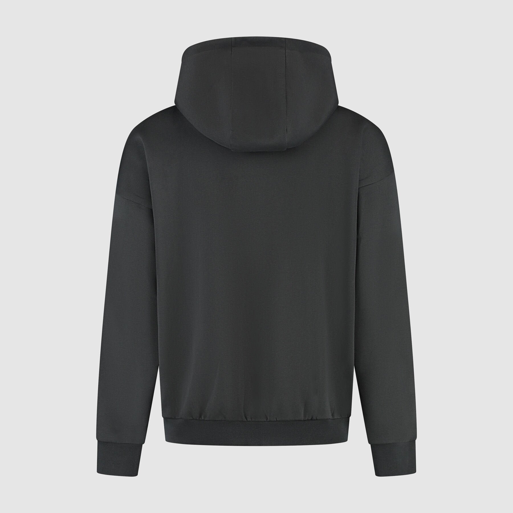 F1 Collection Heritage Graphic Hoodie