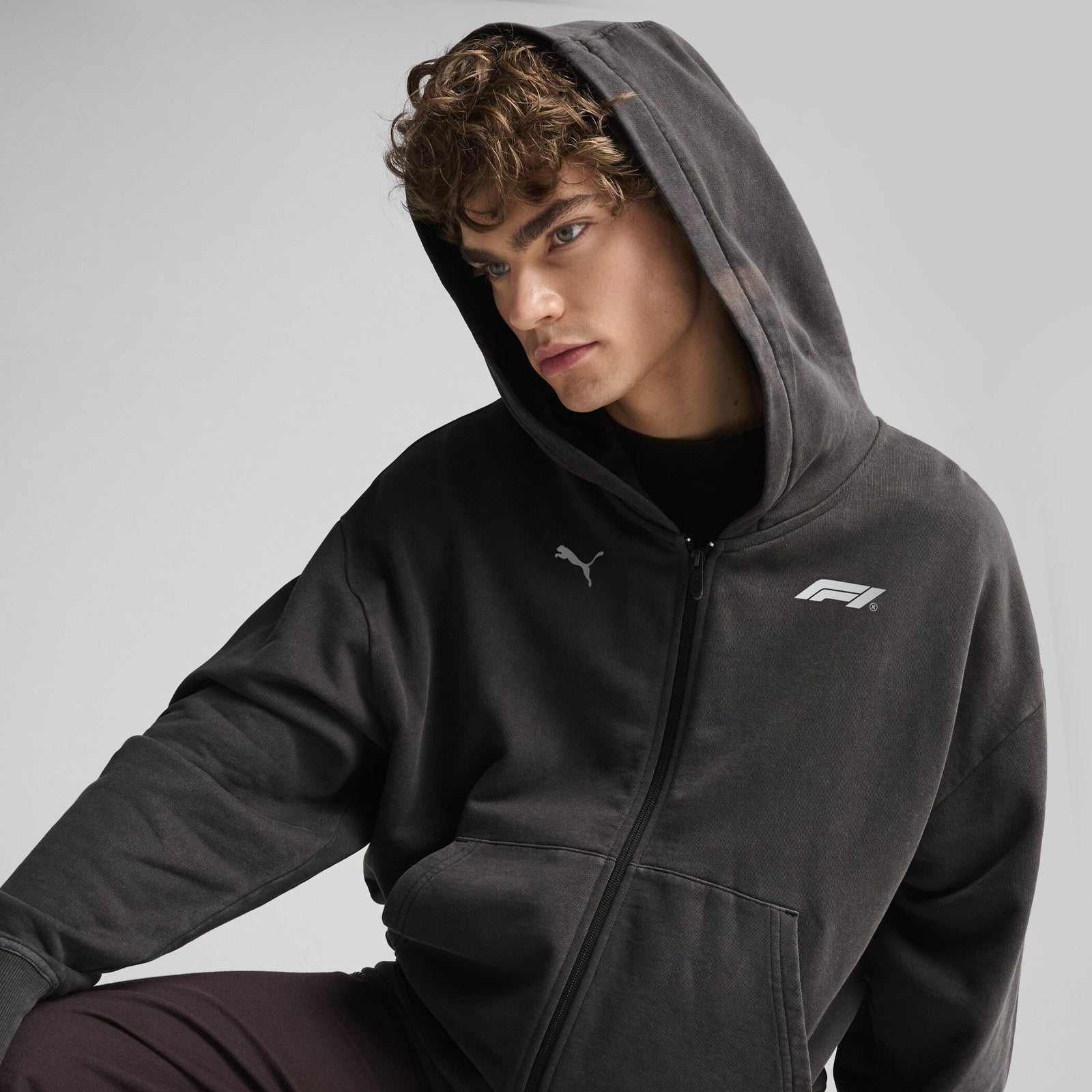 F1 Collection PUMA F1® LS Graphic Zip Hoodie