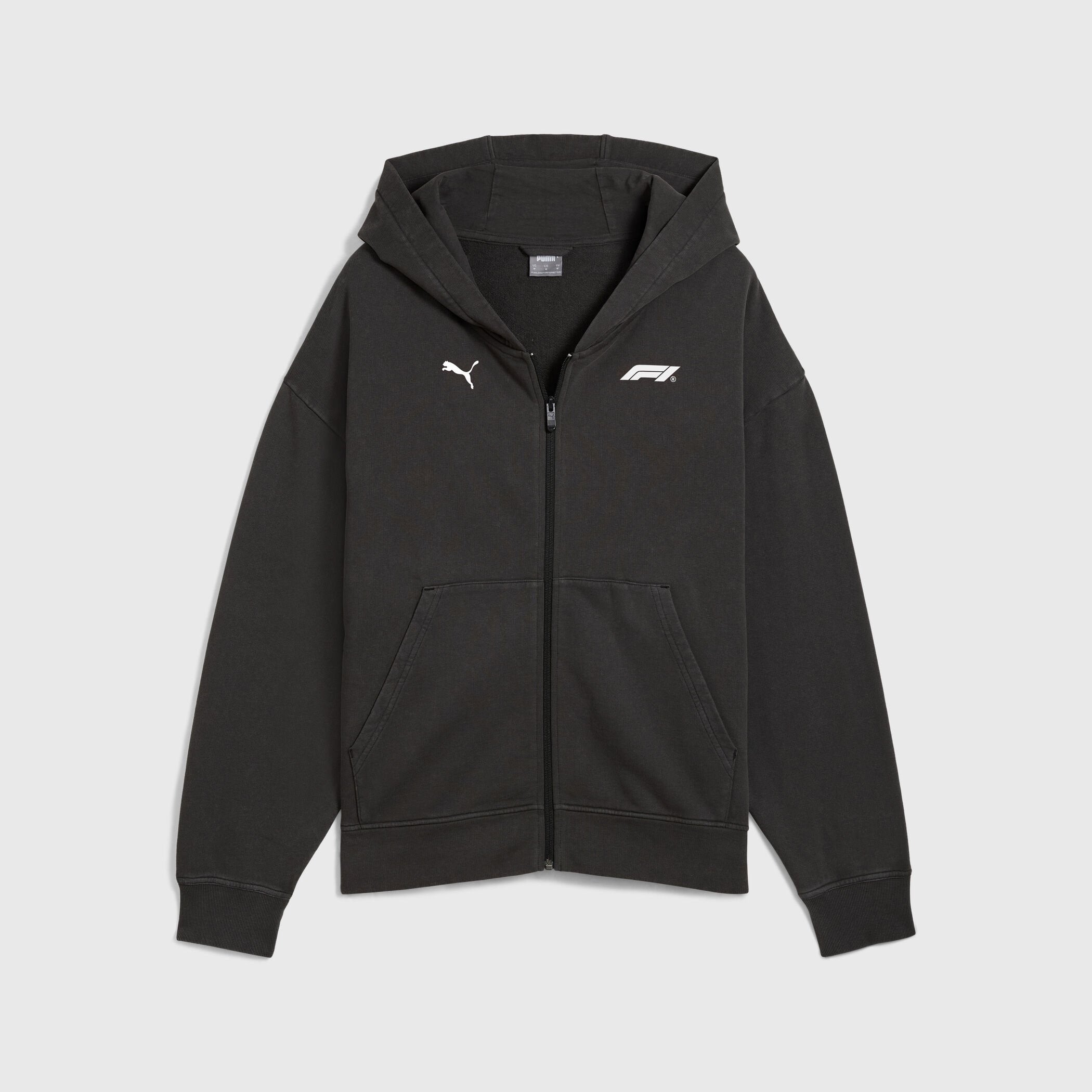 F1 Collection PUMA F1® LS Graphic Zip Hoodie