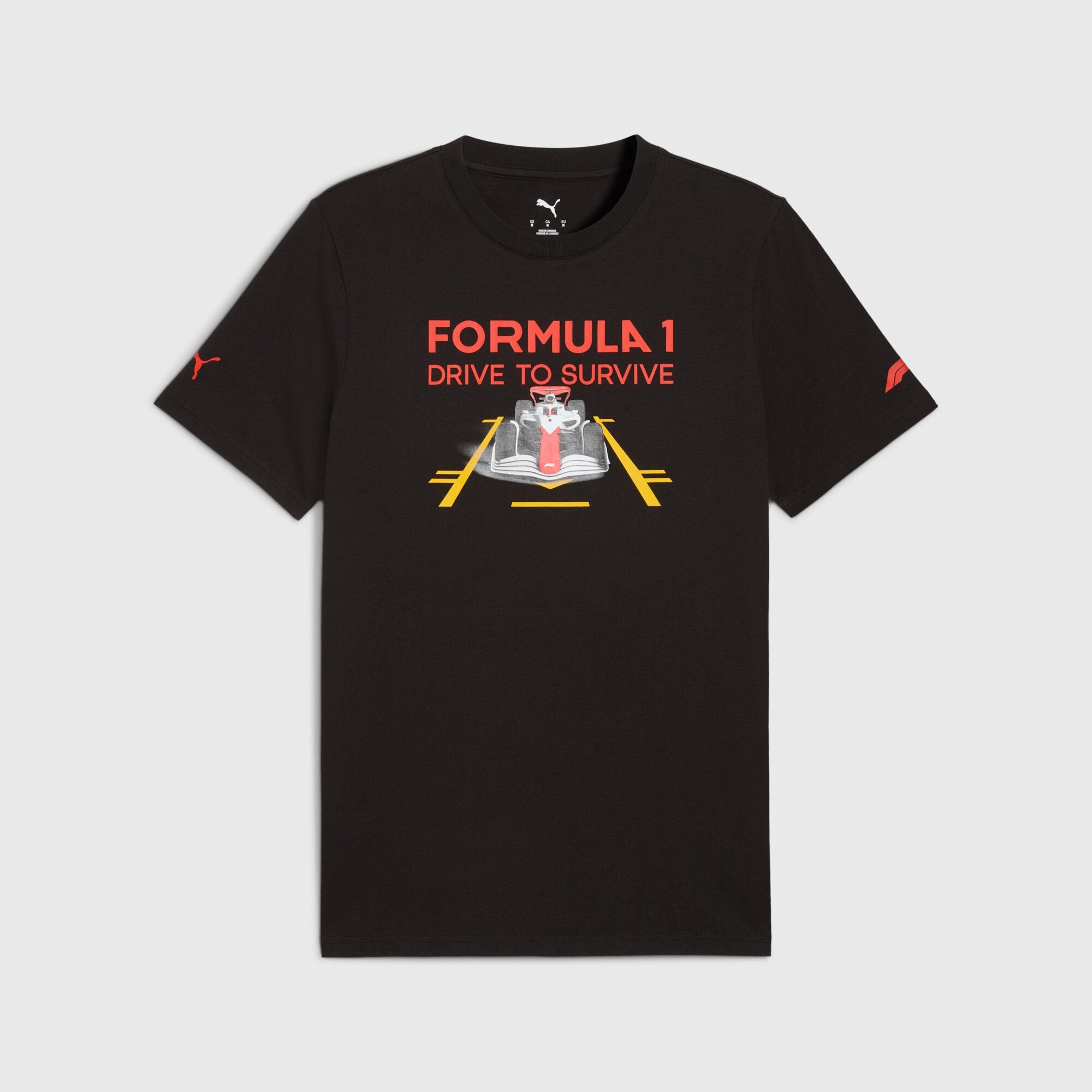 F1 Collection PUMA F1® DTS Graphic T-shirt