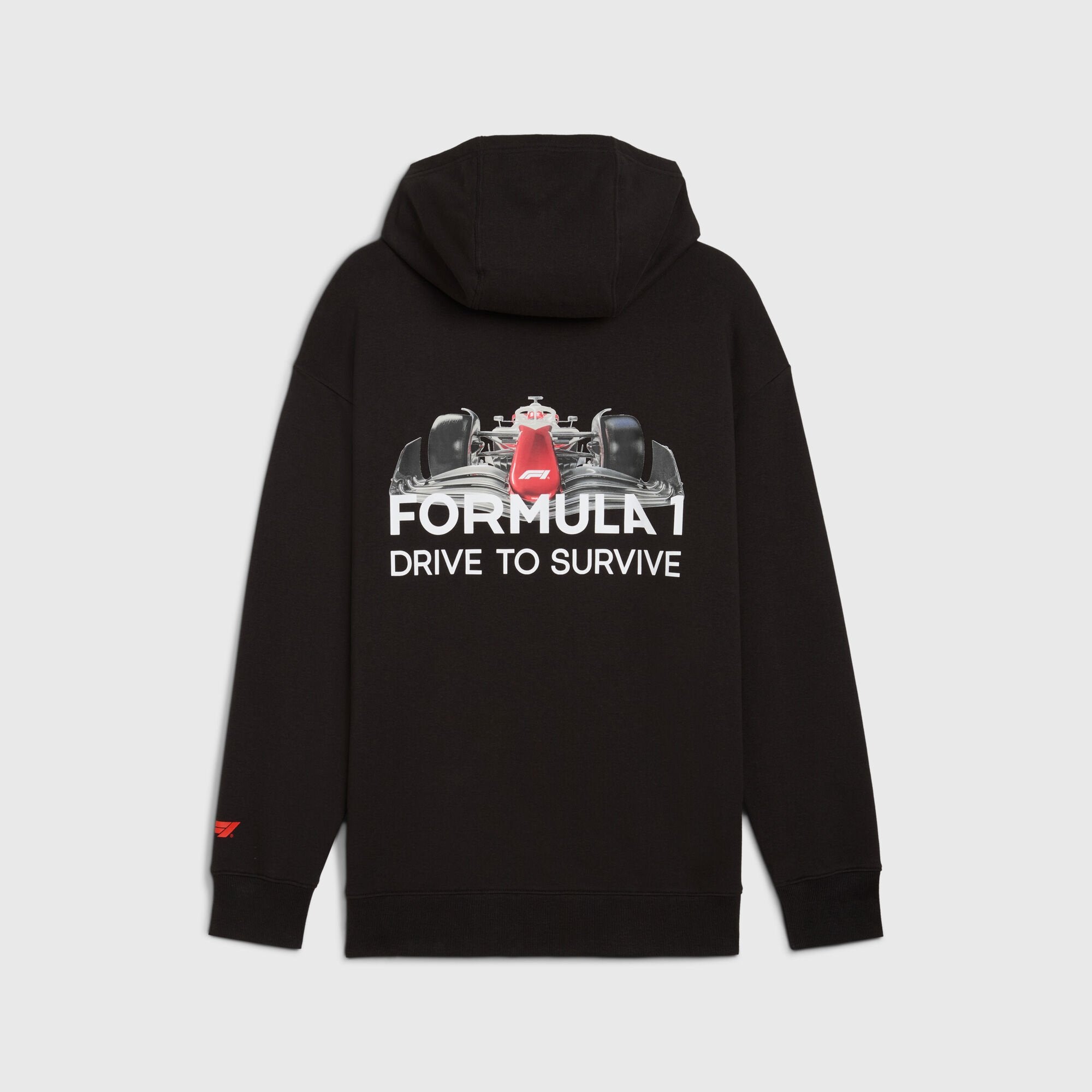 F1 Collection PUMA F1® DTS Relaxed Hoodie