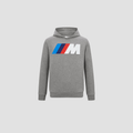 BMW CORE DEFAULT M HOODY