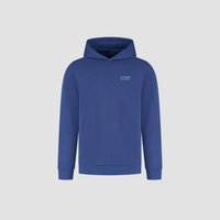BMW CORE REVERSE SYMBOL HOODY