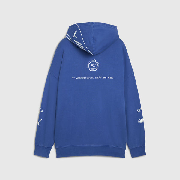 F1 Collection PUMA F1® Graphic Hoodie