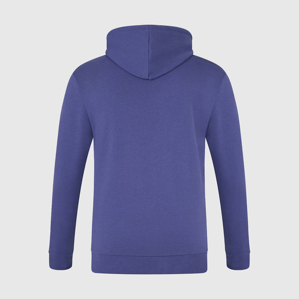 Red Bull Racing Logo Hoodie