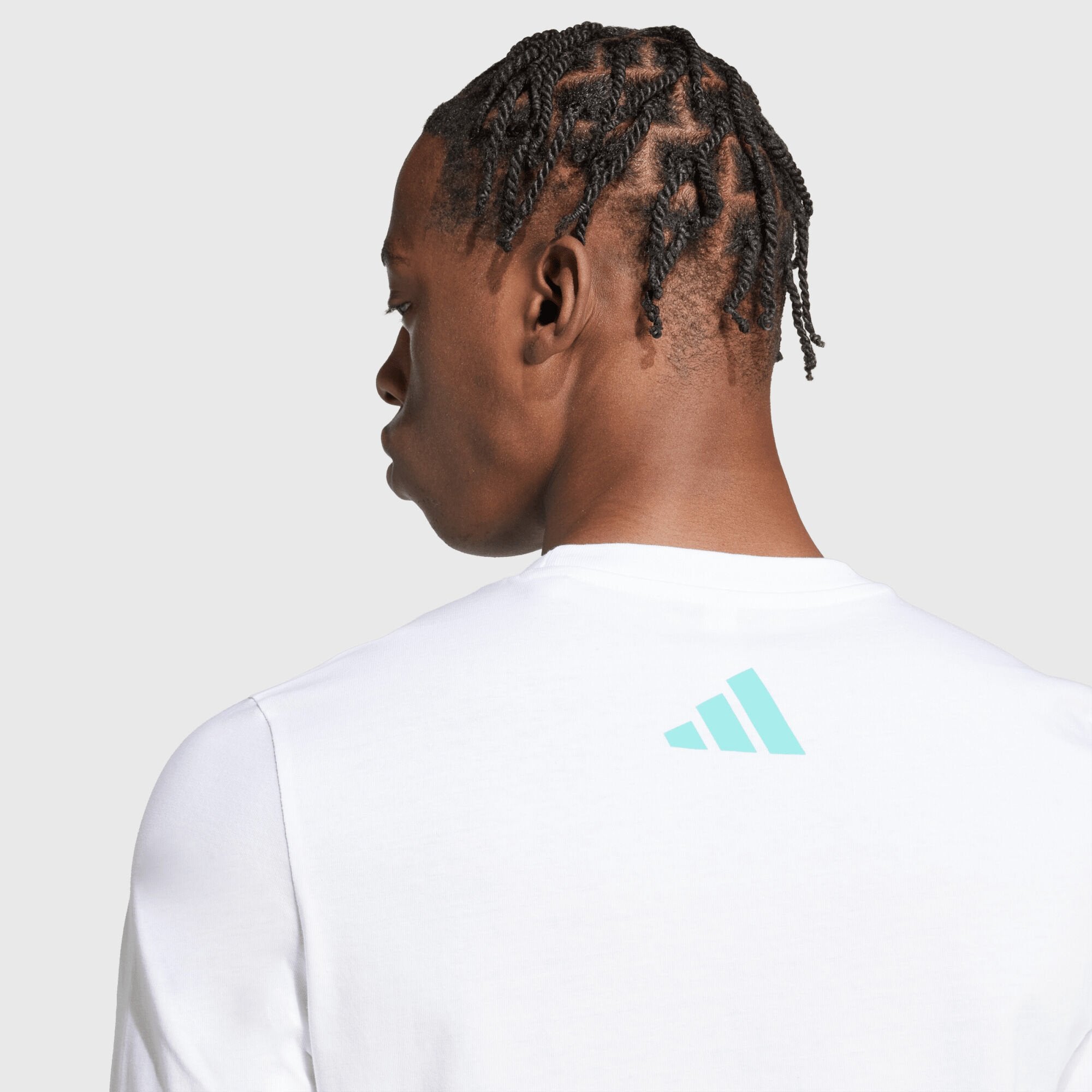 Mercedes-AMG F1 adidas Graphic DNA T-shirt