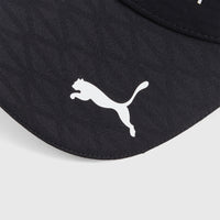 Aston Martin F1 Team 2026 Team Cap