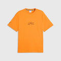 Arrow McLaren IndyCar Team PUMA T-shirt