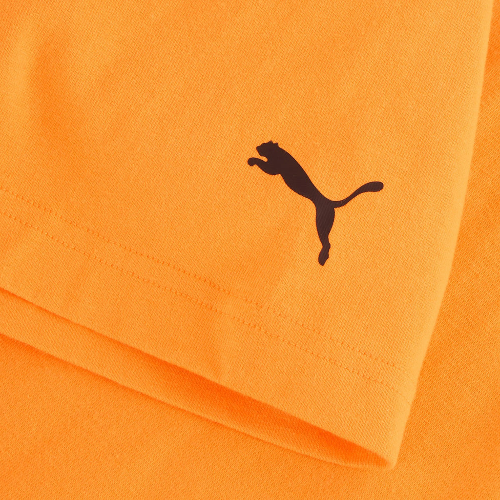 Arrow McLaren IndyCar Team PUMA T-shirt