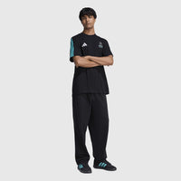 Mercedes-AMG F1 adidas DNA T-shirt