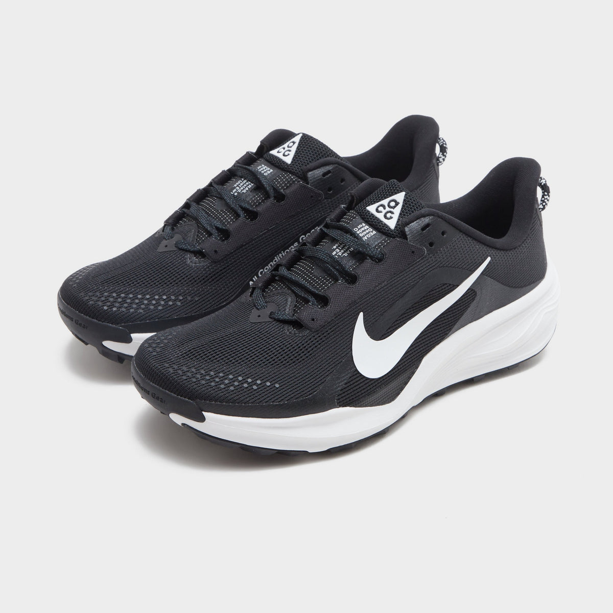 Black Nike ACG Pegasus Trail