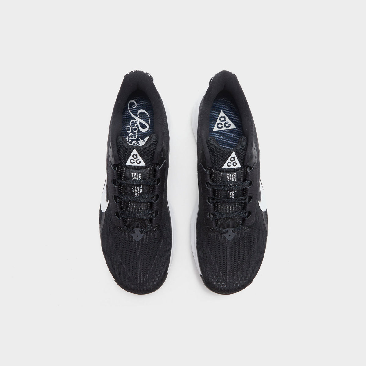 Black Nike ACG Pegasus Trail