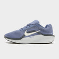 Blue Nike Winflo 11