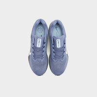 Blue Nike Winflo 11
