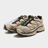 Brown Salomon XT-6