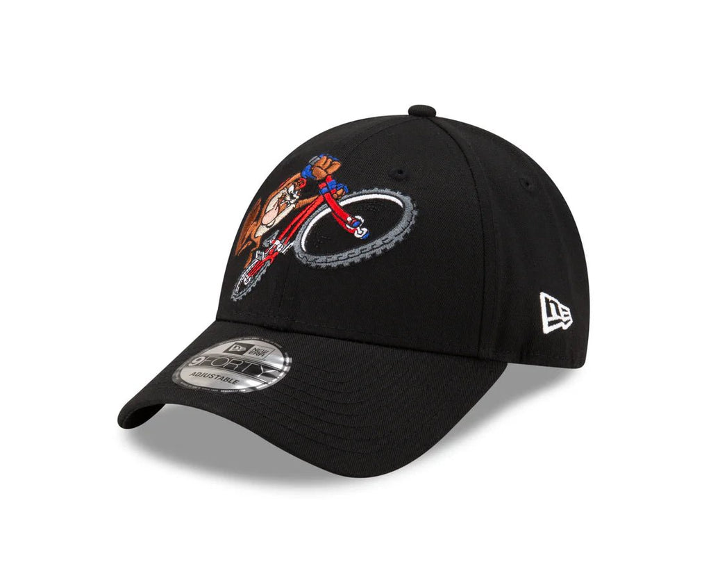 New Era -9Forty - WB Team Looney Tunes TAZ - Cap On
