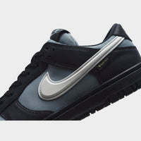 Nike Dunk Low GORE-TEX