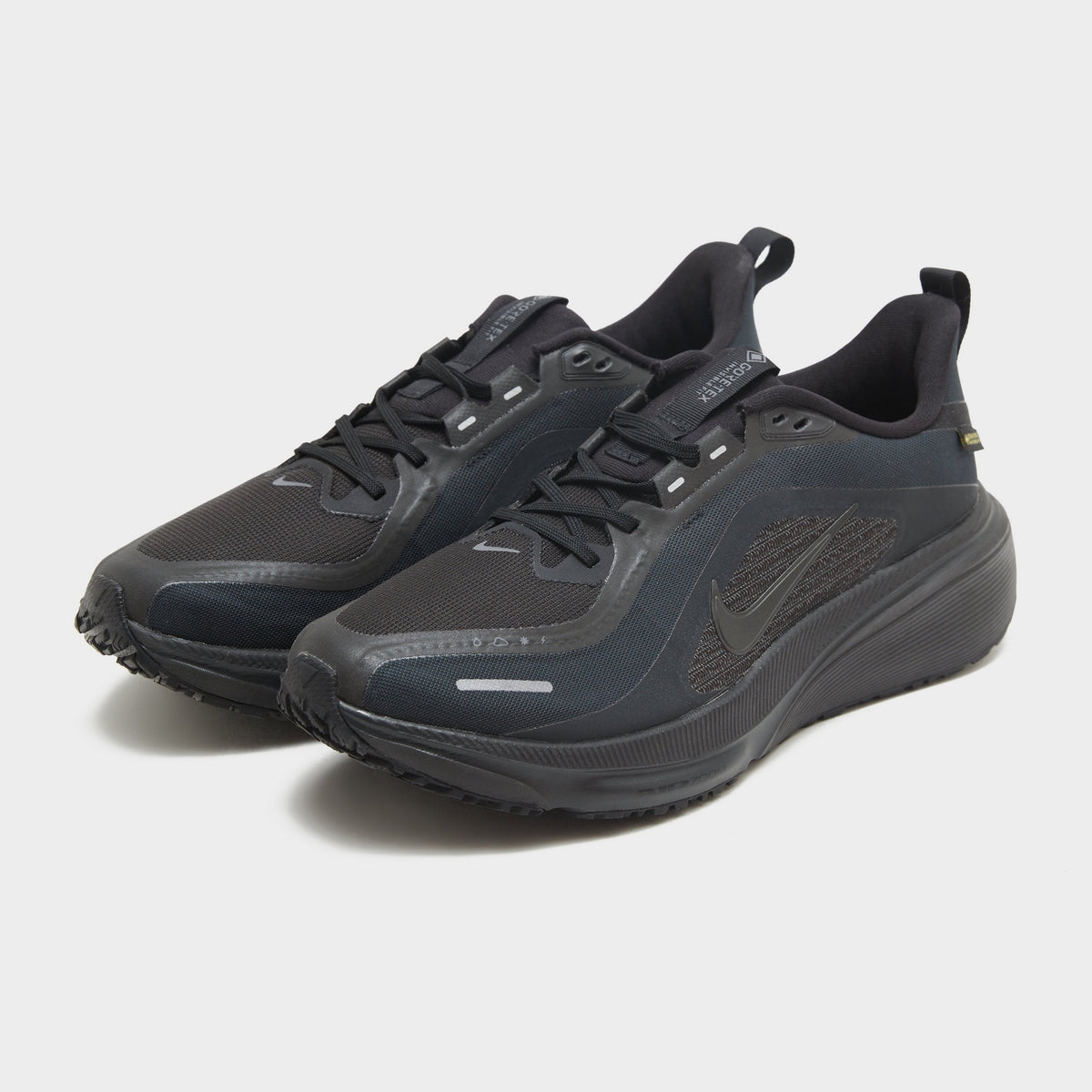 Nike Pegasus 42 GORE-TEX
