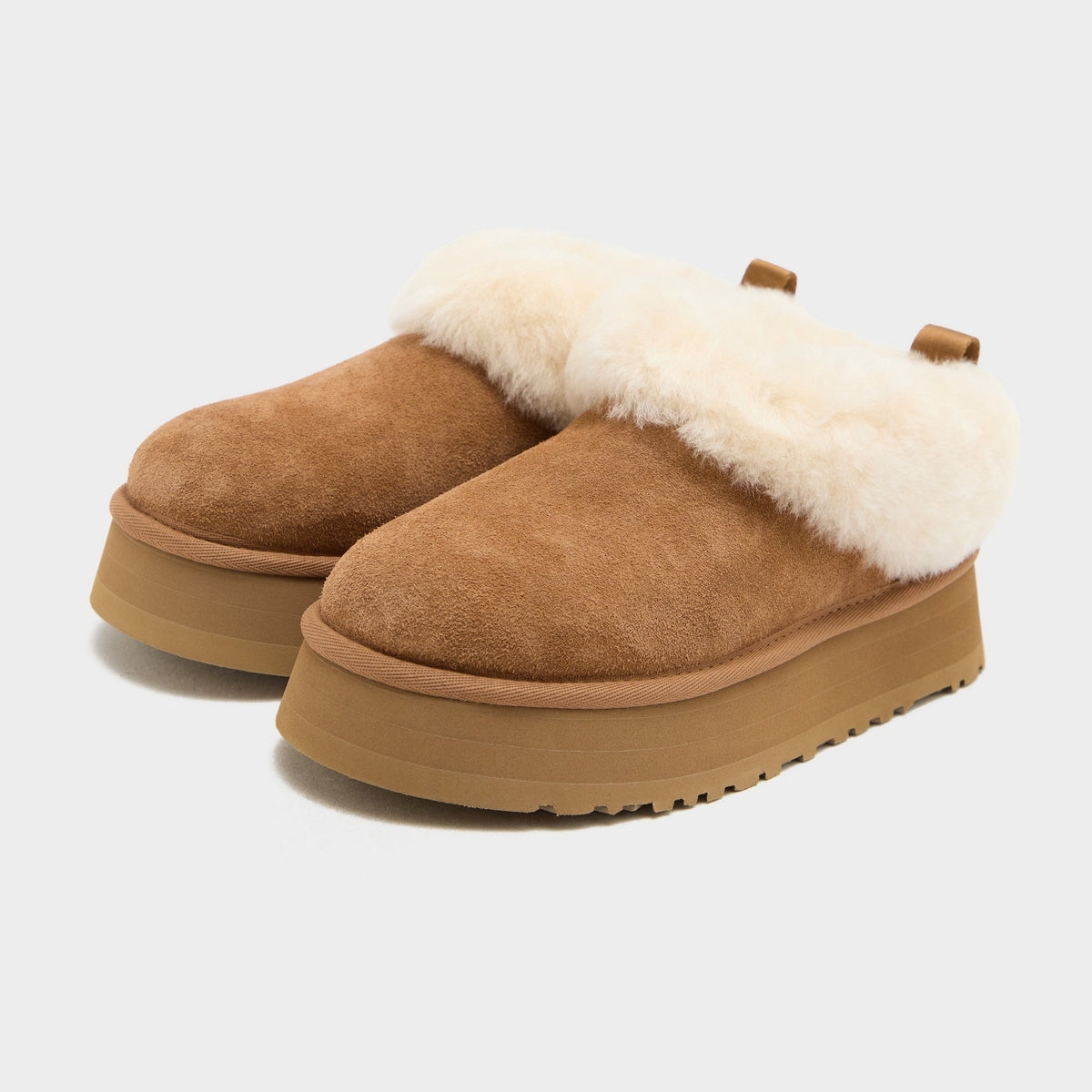 UGG Tazzelle Women's